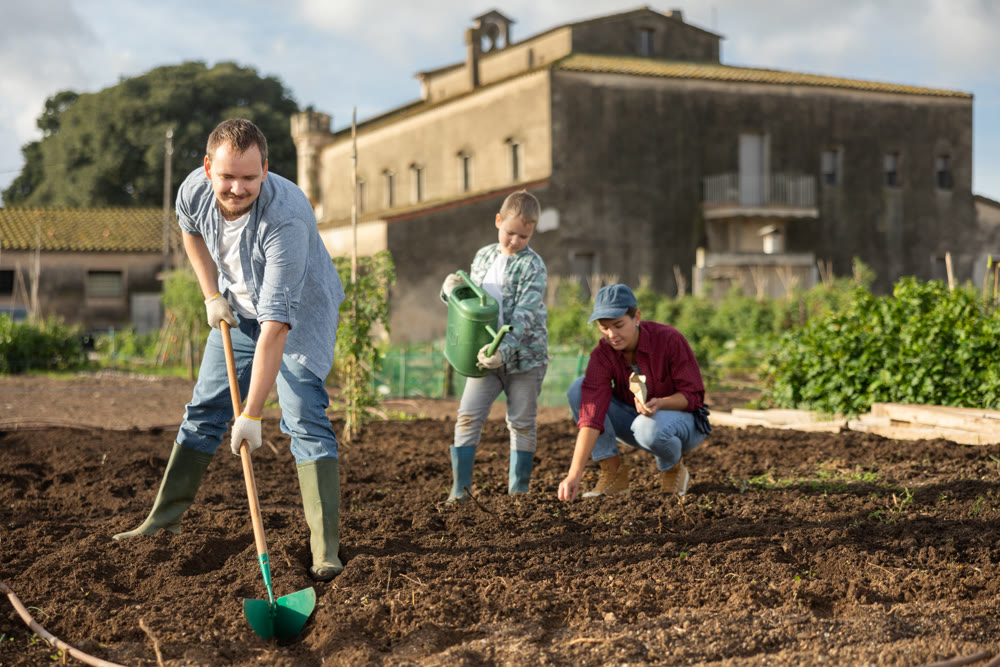 Male farmer with shovel dripping garden