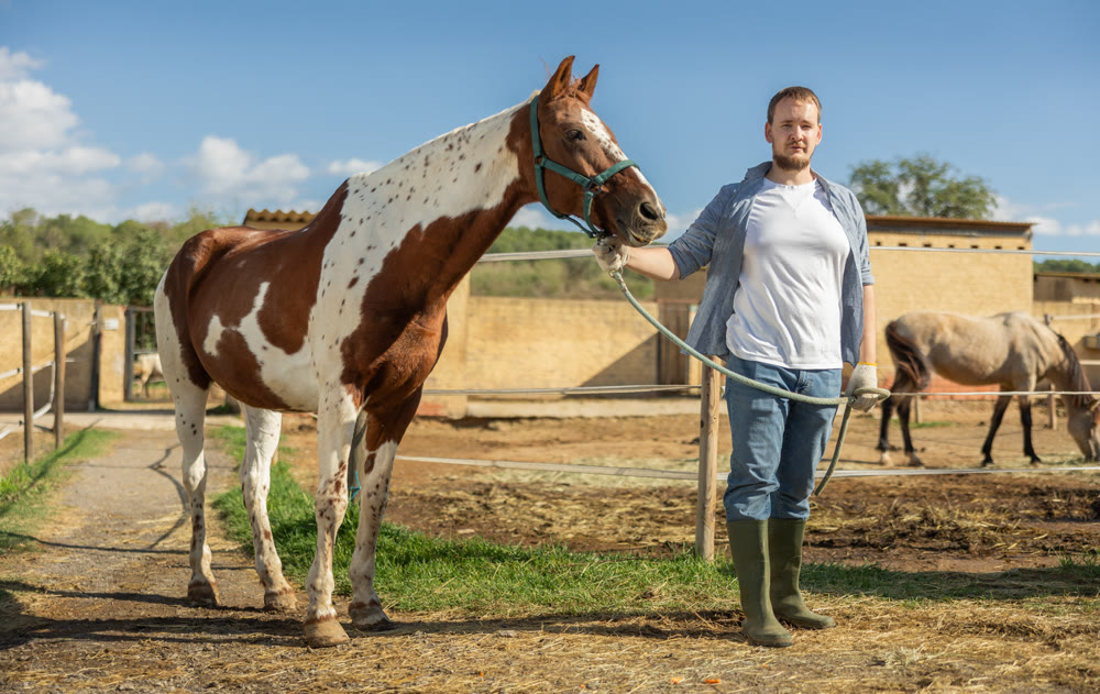 Young man leading horse for walk