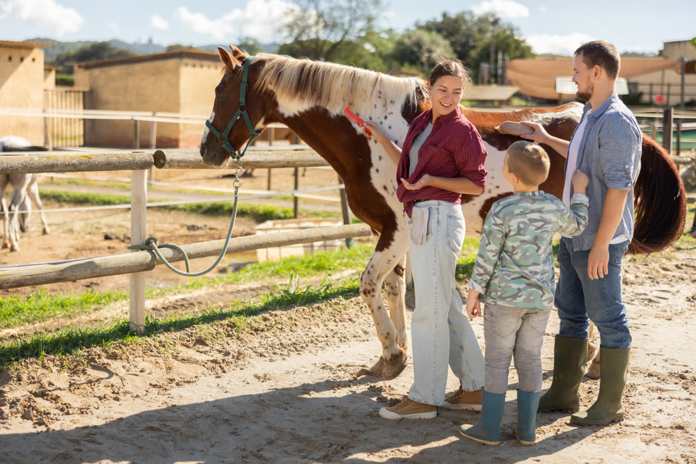 Family with child taking care of horse in pasture of horse farm