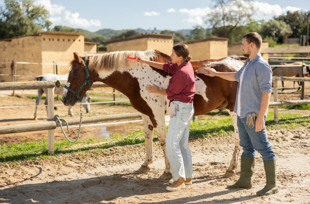 Young man and woman brushing horse