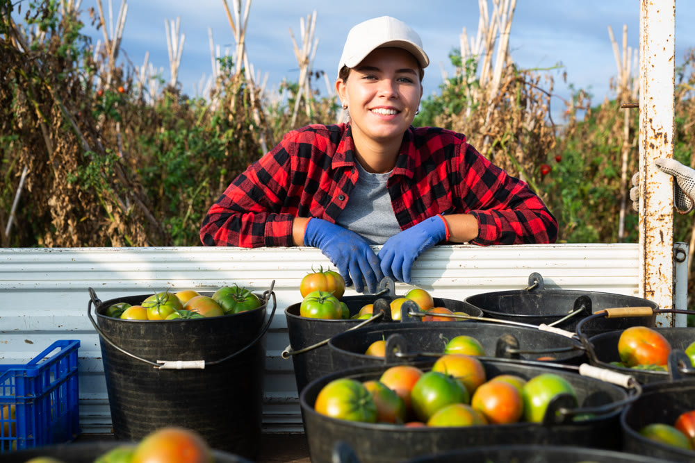 Portrait of satisfied female farmer standing next to tomato crop in the back of truck