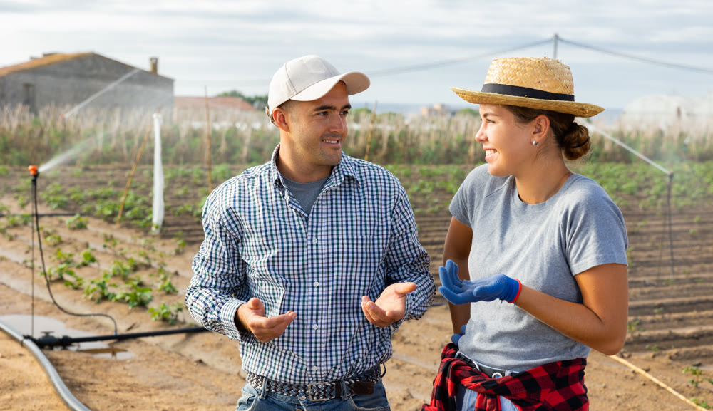 Couple of farmers discussing work plan in farmers field on summer day