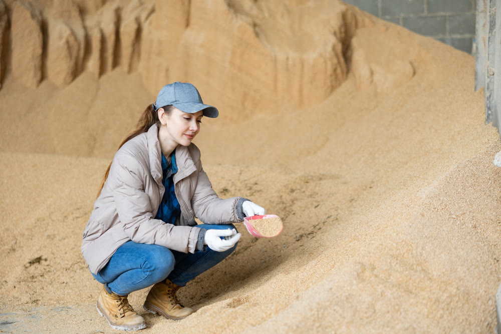 Young woman using a scoop to collect soy husks in an animal feed warehouse