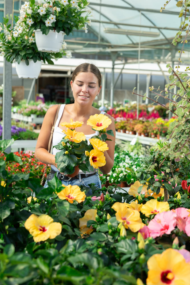 Young woman choosing hibiscus in flower shop