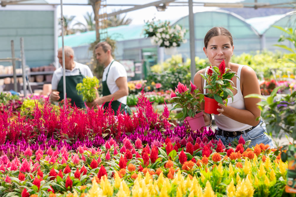 Girl walks through exhibition of ornamental plants, examines celosia in showcase