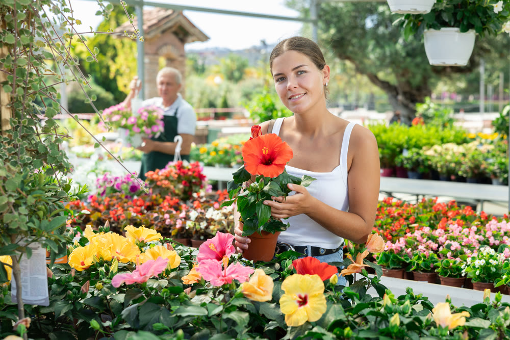 Young woman choosing hibiscus in flower shop