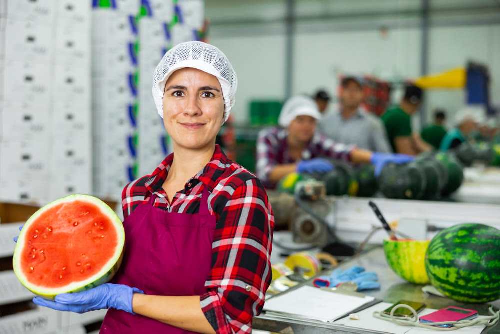 Portrait of pleased woman with half of juicy red watermelon while sorting watermelons at factory