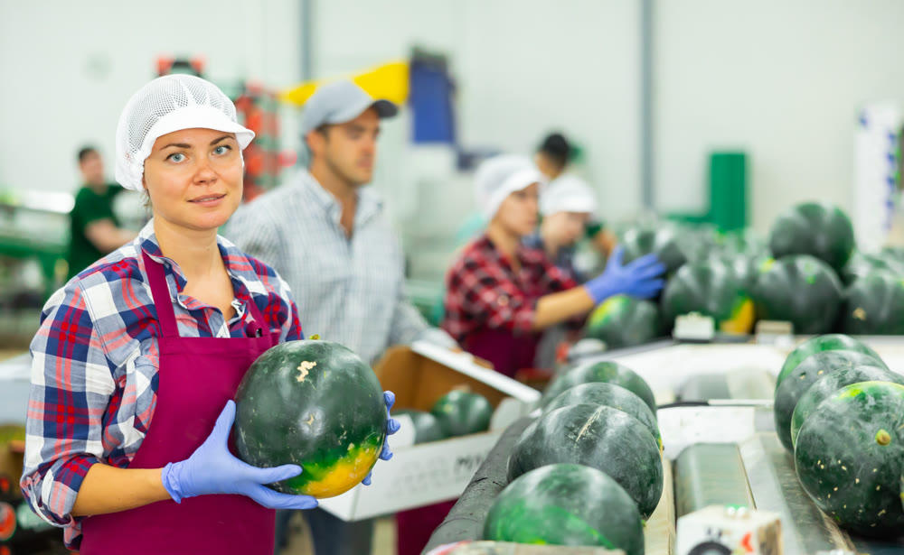 Smiling workwoman holding watermelon standing in factory near sorting line