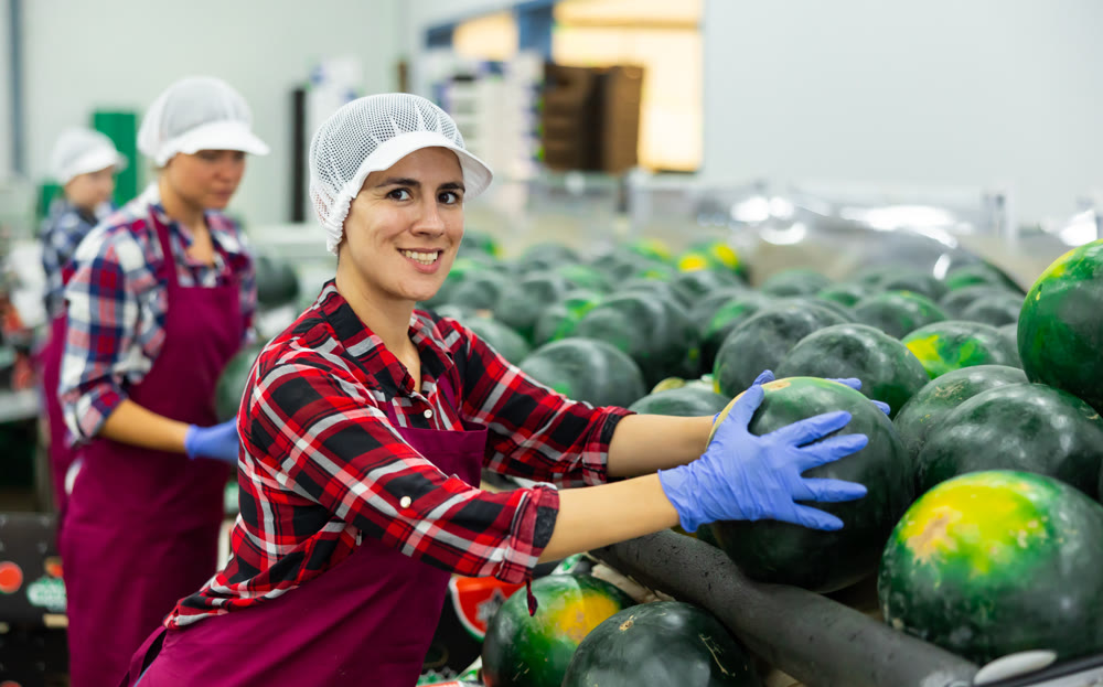Cheerful woman sorting watermelons in factory