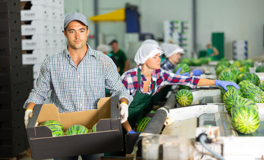 Man carrying crate of fresh watermelons in fruit factory