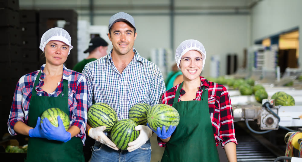 Group of smiling workers standing with watermelons in hands in sorting factory