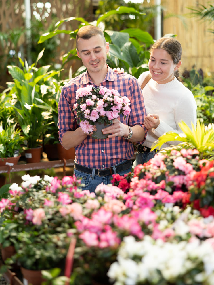 Girl and her boyfriend choose flowers azalea japonica together at the flower market