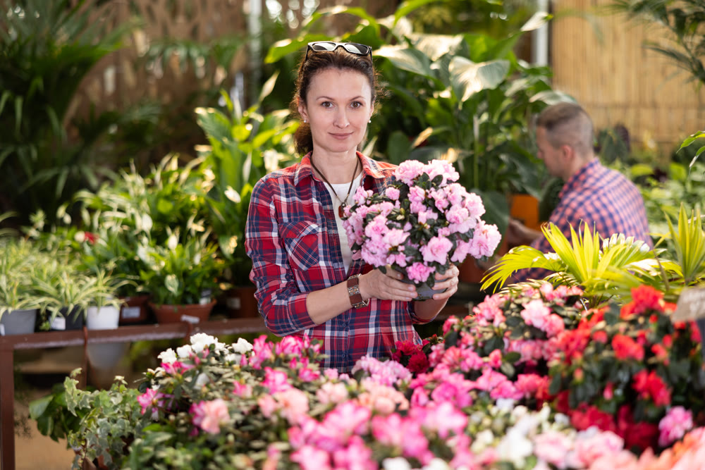 Portrait of positive woman chooses flowers azalea in flower shop