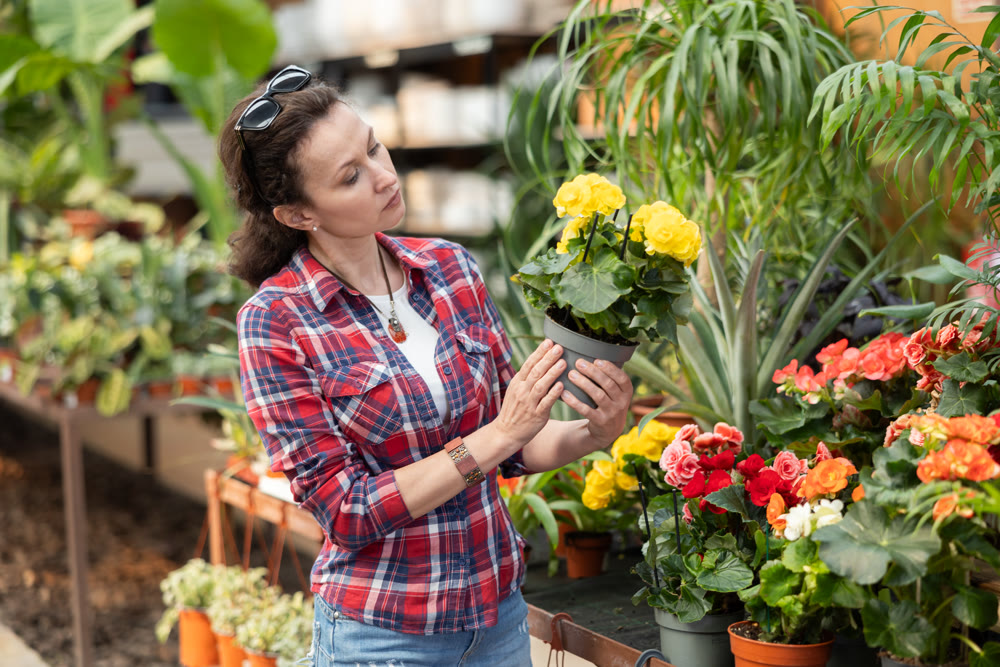 Adult woman choosing begonia in flower shop