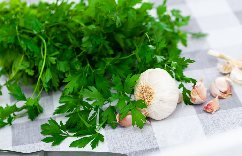 Fresh parsley and garlic on kitchen table
