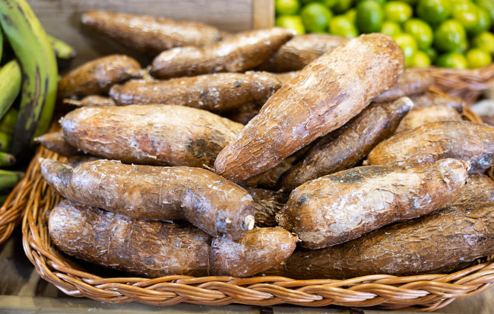 Yucca roots lie on counter of grocery store