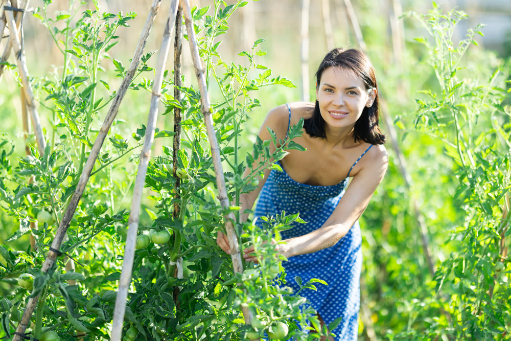 Adult woman caring for plant in garden