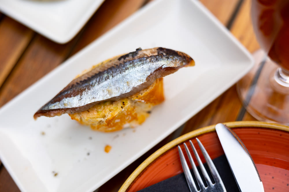 Sandwiches with sardine on toasted slices of bread