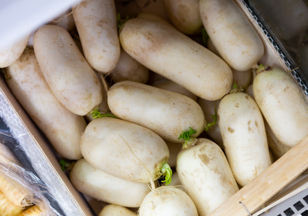 Turnip roots displayed for sale at greengrocery