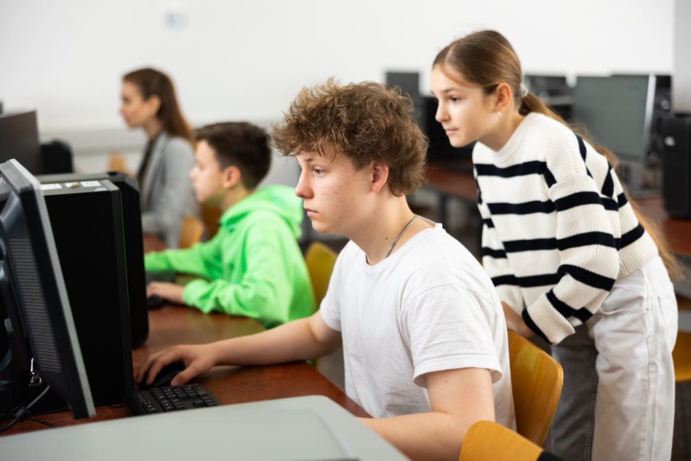 Schoolboy using PC during computer science lesson