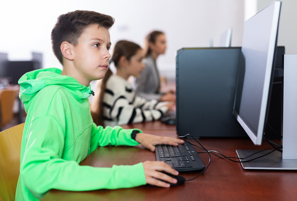 Schoolboy using PC during computer science lesson
