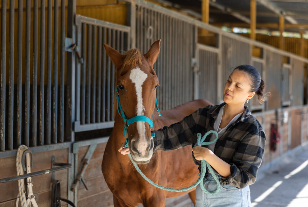 Young woman leading horse out of stable