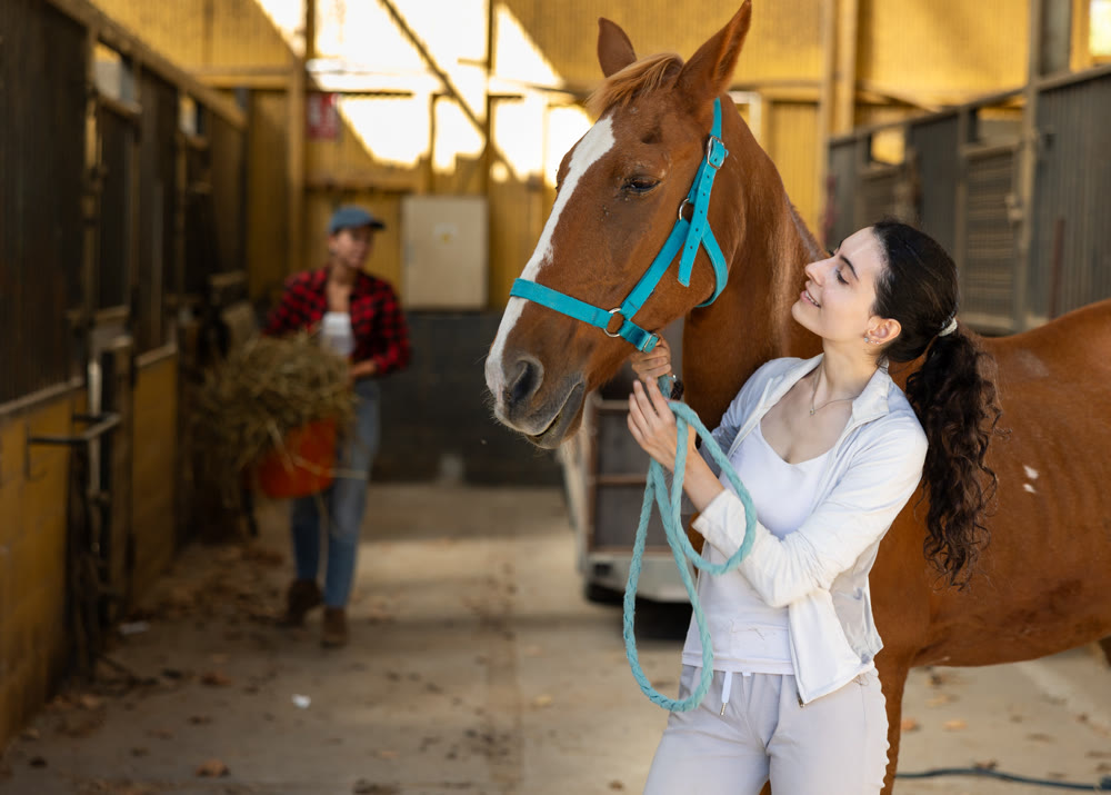 Armenian female worker takes horse out of stall, holds animal by bridle and leads pet for walk