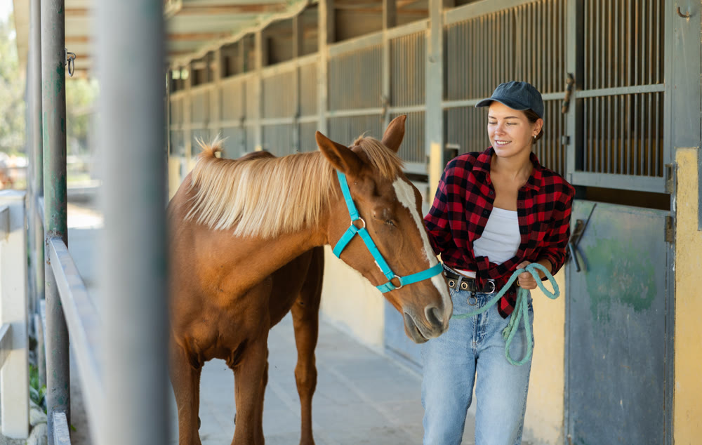 Young woman leads horse out of stable