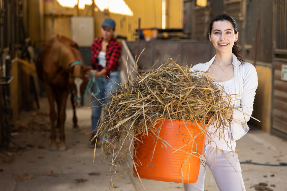 Young woman with bucket of hay in stable