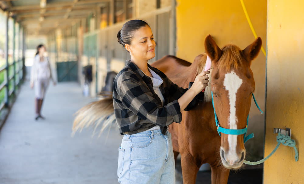 European girl has tied horse to hitching post and is combing animals mane