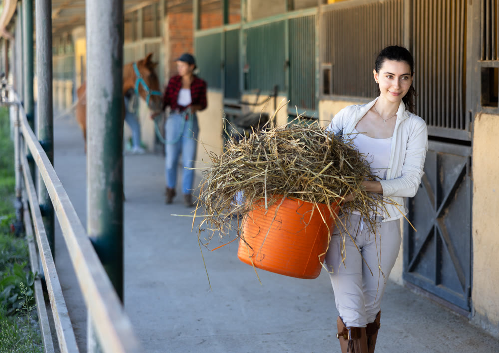 Young woman with bucket of hay in stable