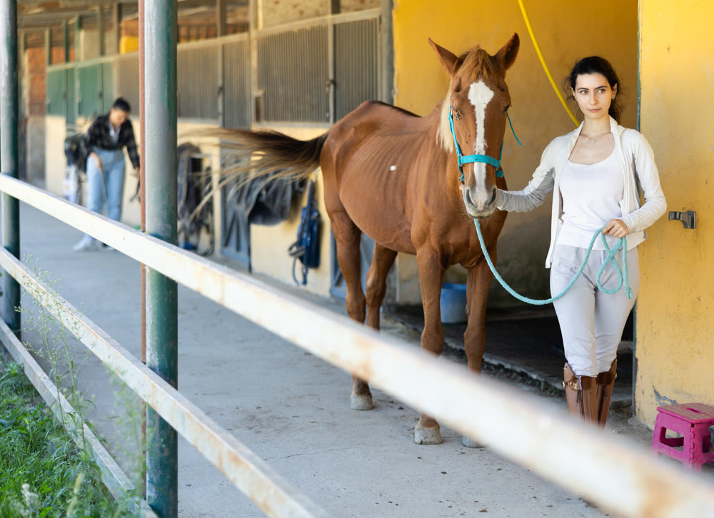 Young woman leads horse out of stable