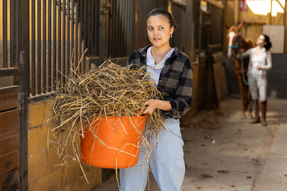 Young woman with bucket of hay in stables