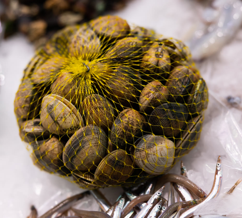 Raw shellfish in a net at fish market - freshly caught shellfish