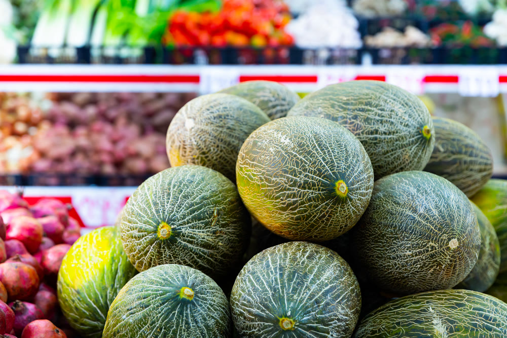 Sweet melons on the counter of the fruit store