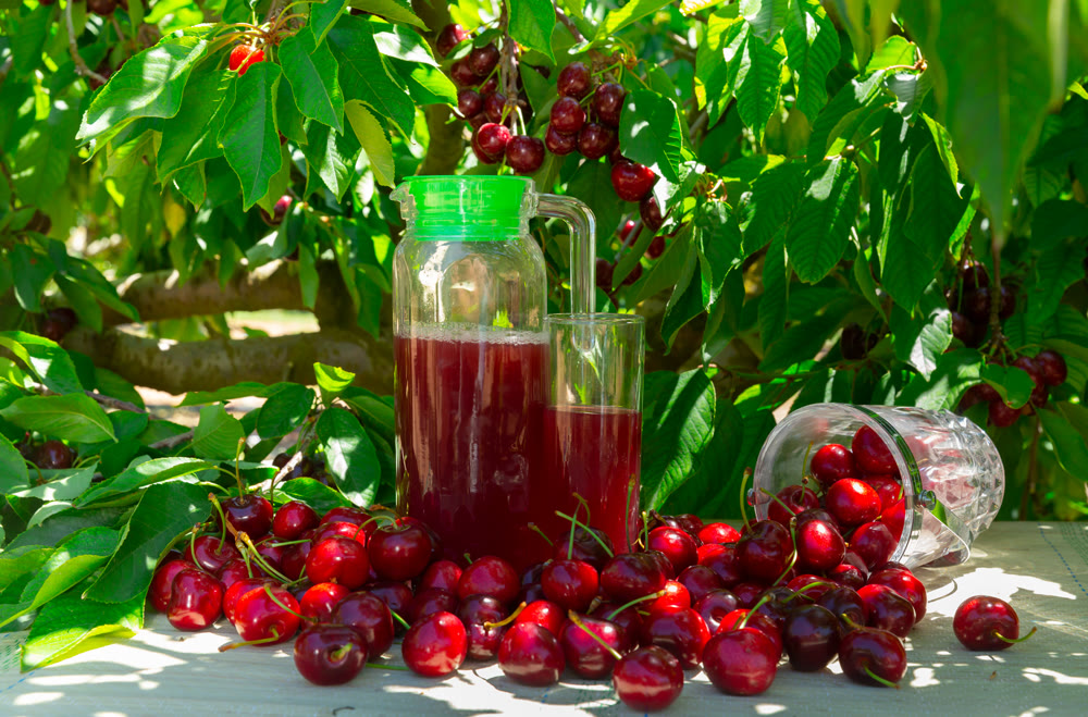 Jug of cherry juice and ripe cherries on table under tree leaves